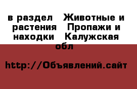  в раздел : Животные и растения » Пропажи и находки . Калужская обл.